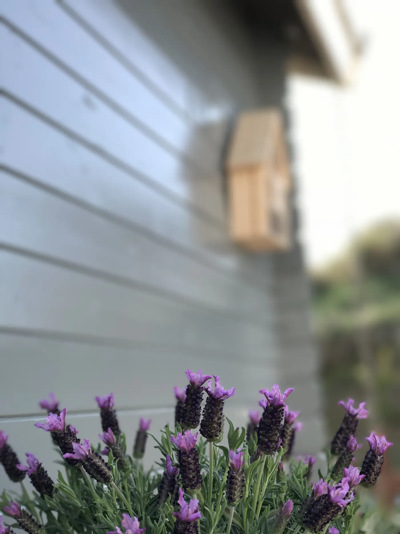 Chalet terrace
